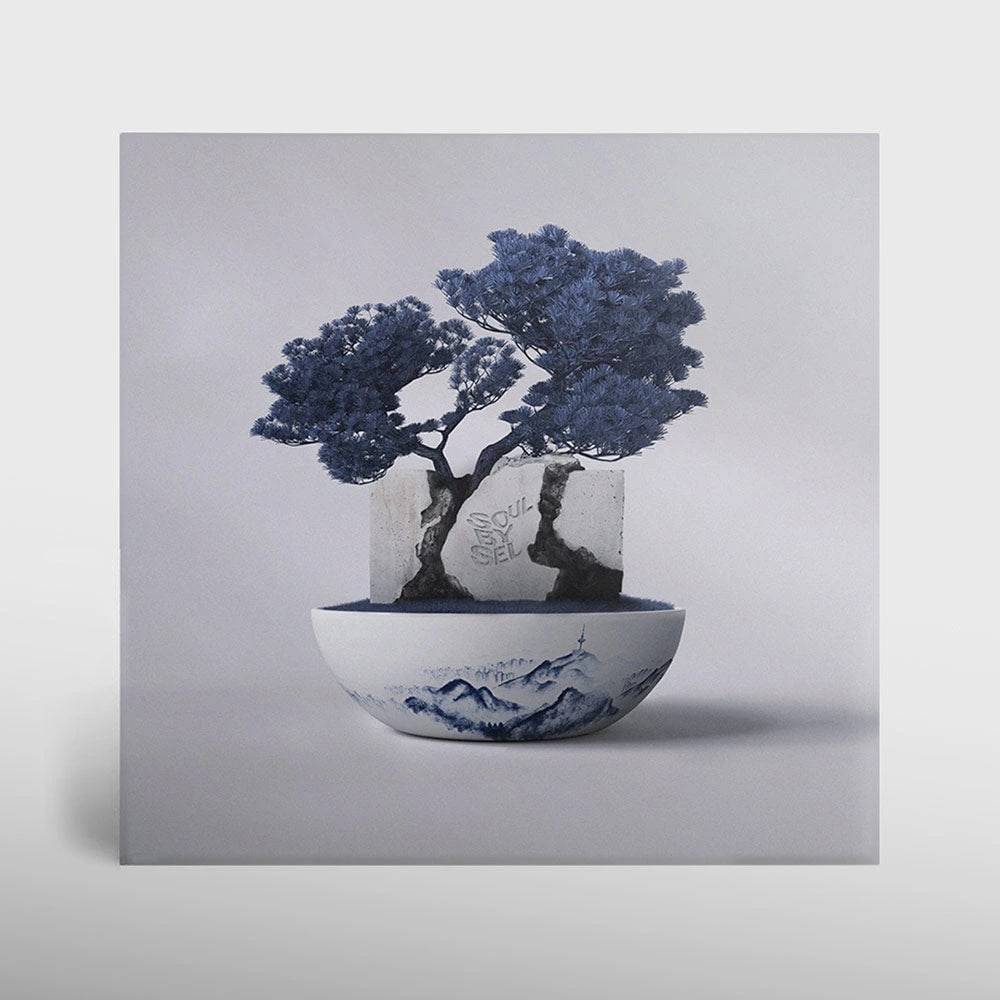 SOULBYSEL - [COMPILATION 05] LP — 2