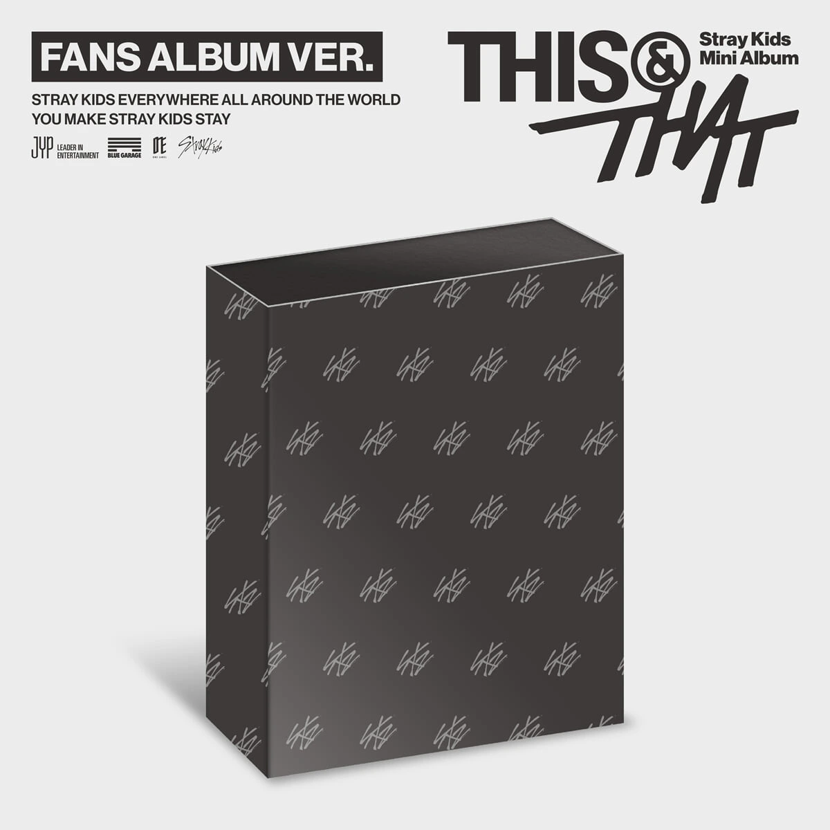 Stray Kids スキズ THIS&THAT Fans Album Stray Kids - [THIS & THAT] FANS ALBUM Ver. | KPOP HOUSE